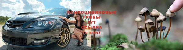 хмурый Дмитровск
