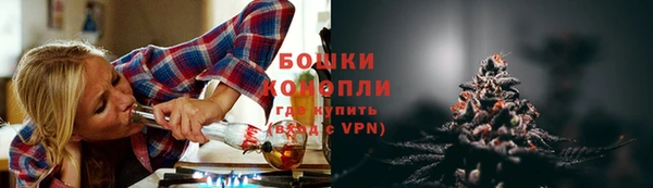 дмт Дмитров