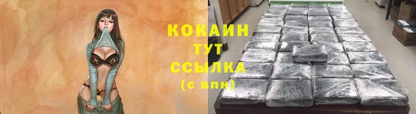хмурый Дмитровск