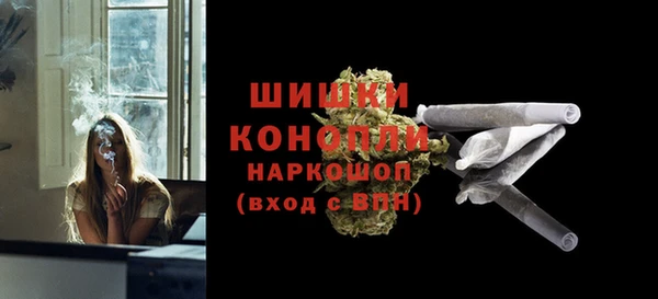 дмт Дмитров