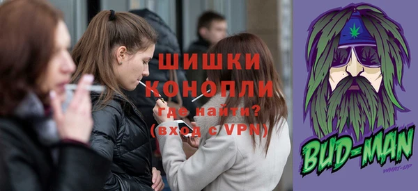 дмт Дмитров