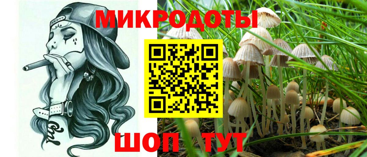 Псилоцибиновые грибы GOLDEN TEACHER Серов