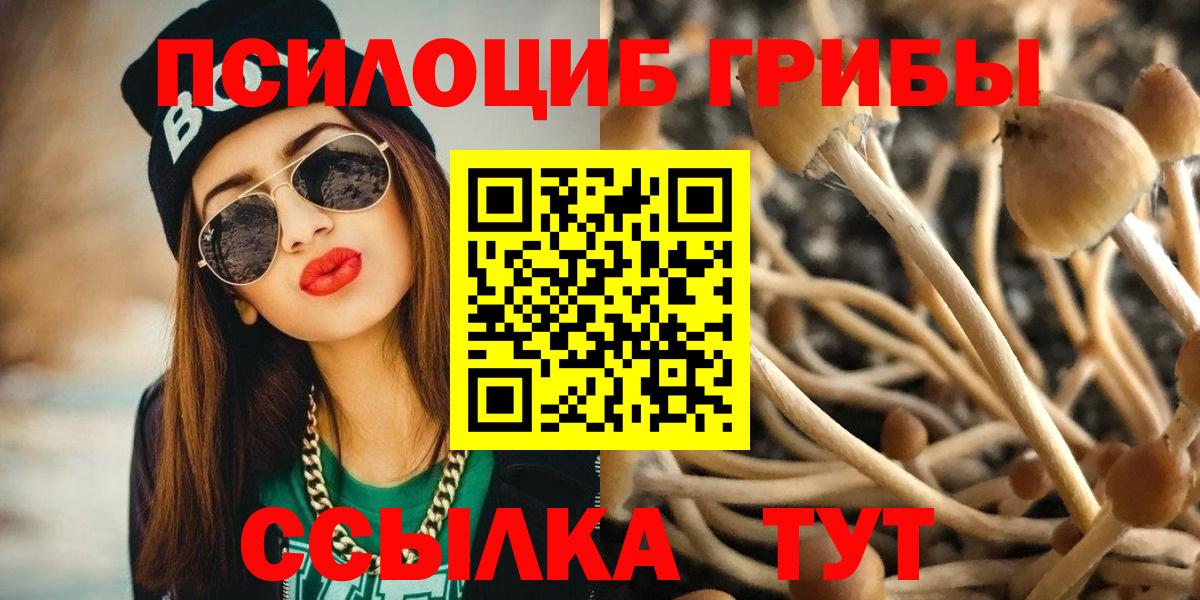 Серов  Галлюциногенные грибы Magic Shrooms  Вход с VPN 