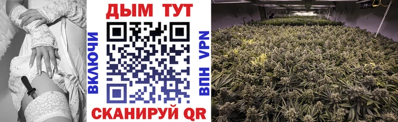 Конопля OG Kush  MEGA tor  Серов 