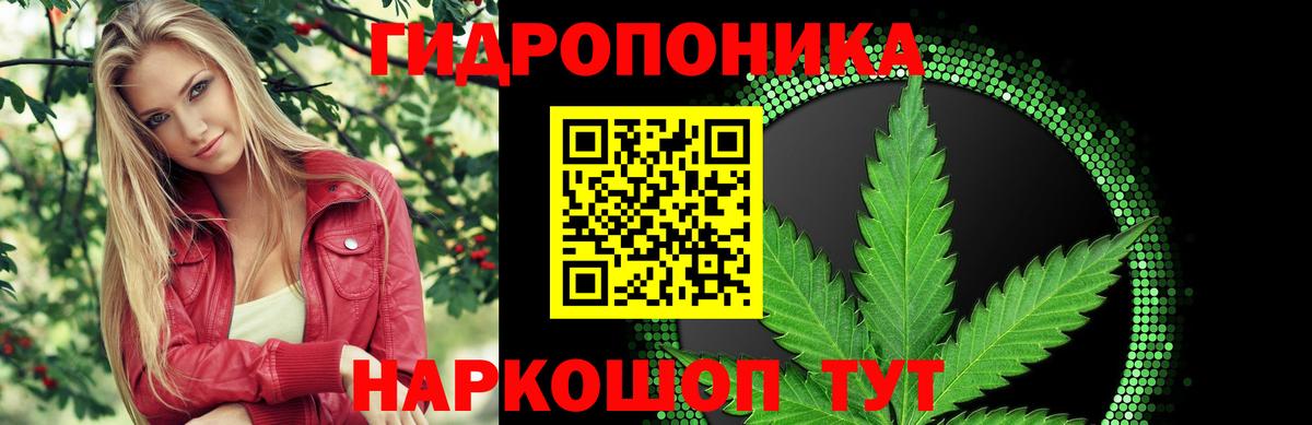 Серов  Бошки марихуана OG Kush  Шишки марихуана гибрид  Вход с VPN 